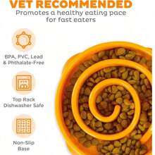 Outward Hound Fun Feeder Slo Bowl, Slow Feeder Dog Bowl, Medium/Mini, Turquoise