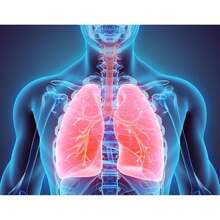 Mullein Drops For Lungs | Mullein Leaf Extract Supplement | Lung & Bronchial Cleanse For Smokers | Respiratory Health Support | Made In USA | 2 Floz - 姓名 - 查看 4