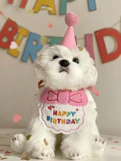 Babero para babear para el cumpleaños de mascotas, Conjunto de babero y gorro de cumpleaños para perros, Accesorio para fotografía de cumpleaños de mascotas