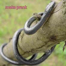 Prank Kit Funny Gag Gifts Realistic Rubber Snakes Fake Roaches Surprise Spider Box For April Fools Day Halloween Party Decoration - 如圖 - 查看 6