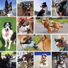 1 Pair Transparent Pet Goggles, Waterproof, Windproof, UV Protection, Suitable For Large Dogs, Adjustable Head Circumference 36cm/14.17in, 56cm/22.04in - Clear - View 6