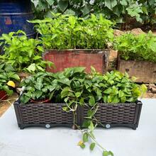 Flower Bed -  Raised Garden Bed With Drainage Plug, Flower Pot,Plant Pots,Pots For Plants, Suitable For Growing Vegetables, Herbs And Flowers, Suitable For Indoor And Outdoor Planting - 40單層二聯種植箱 - 查看 3