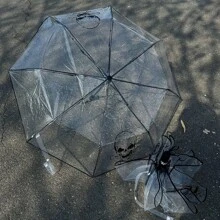 Creative Double-Sided Skull Transparent Umbrella, Minimalist Design, Popular Folding Portable Umbrella, Dark Aesthetic