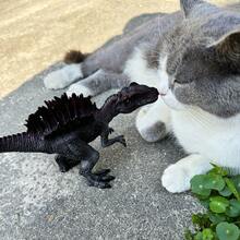 侏罗纪恐龙实体模型玩具，8-15 英寸中型和大型手绘恐龙模型 - 咆哮的霸王龙、三角龙、霸王龙、皮科龙、沧龙、重型大猩猩、霸王龙、龙吉祥物 - 细致逼真，可移动下颌 - 彩色 - 查看 7