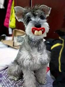 1 件趣味咀嚼宠物玩具，互动红唇狗玩具，趣味和牙齿卫生 - 耐用咀嚼游戏配件，圣诞节