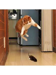 Đồ chơi chuột chạy bằng động cơ nhồi bông nhiều màu ngẫu nhiên, đồ chơi tương tác cho mèo, đồ chơi chuột cơ học, mô phỏng chân thực, giúp mèo tiêu hao năng lượng, không cần pin. - Nhiều màu - Xem 4