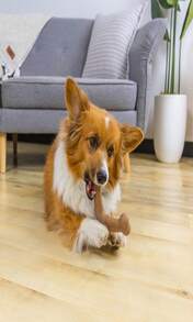 Outward Hound Dogwood Wood Durable Dog Chew Toys, Real Wood &Amp; Calming Hemp, 2-Pack, Medium - DogwoodJack - Xem 2
