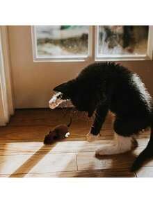 Đồ chơi chuột chạy bằng động cơ nhồi bông nhiều màu ngẫu nhiên, đồ chơi tương tác cho mèo, đồ chơi chuột cơ học, mô phỏng chân thực, giúp mèo tiêu hao năng lượng, không cần pin. - Nhiều màu - Xem 5