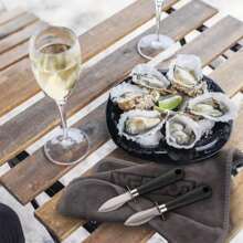 WENDOM Oyster Knife Shucker Set Oyster Shucking Knife And Gloves Cut Resistant Level 5 Protection Seafood Opener Kit Tools Gift(2knifes+2Glove+1Cloth)