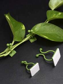 30 Stück Pflanzenwandclips für Kletterpflanzen, Wandclips, grünes Baum-Kletterwerkzeug, Rankhilfe-Klemme, grüner Kletterhaken, grüner Schnallring, rückstandsfreie grüne Pflanzenbefestigungsvorrichtung, selbstklebende Schnallen, Kabelbaumzubehör, geeignet für Innen- und Außenbereich, Blumentopfzubehör, Gartendekoration, Gartenwerkzeuge, Pflanzenständer Wanddekoration, Pflanzenstütze