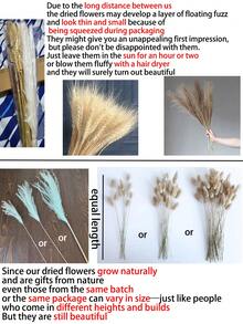 100pcs/Set Life-Like Reed & Rabbit Tail Artificial Flower Set - Elegant Decor ForHome, Office, & Events, Perfect Gift For Any Occasion - Multicolor - View 12