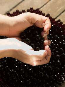 Water Gel Jelly Beads Filler - For Floating Candle Making, Wedding Party, Home Decor Plants And Crafts Ornaments (Expand After Absorbing Water) Vase Room Decor Flower Vase Glass Vase