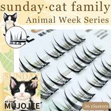 7 serie di ciglie finte a tema animali, serie topo carine e divertenti, serie uccello fresche e giocose, serie volpe affascinanti come la seta, ecc. Ciuffetti di ciglie, grappoli di ciglie, ciglie individuali, ciglie finte