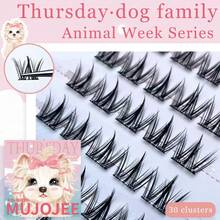 7 serie di ciglie finte a tema animali, serie topo carine e divertenti, serie uccello fresche e giocose, serie volpe affascinanti come la seta, ecc. Ciuffetti di ciglie, grappoli di ciglie, ciglie individuali, ciglie finte