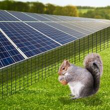 Bazargame Solar Panel Bird Guard, Proofing Squirrel Pigeons Pest Clips Net With Fasteners Clips And Proofing For Protection Of Solar Panels (8 Inch) - Black - View 7