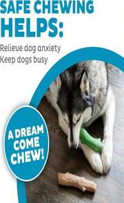 Outward Hound Dogwood Wood Durable Dog Chew Toys, Real Wood &Amp; Calming Hemp, 2-Pack, Medium - DogwoodFreshBreath2Pack - Xem 6