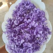 Hortensia eterna, caja de hortencias, hortén seca, abanico de flores hecho a mano, marco de fotos, cubierta de vidrio, materiales florales DIY, corona
