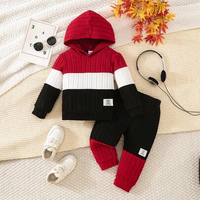 2pcs Baby Boy Colorblock Hooded Long Sleeve Top And Pants Set, Casual Outfit For Daily Wear, Autumn/Winter