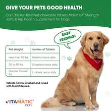 Vitamatic Maximum Strength Joint & Hip Health Supplement For Dogs - 120 Tablets - Khác - Xem 3