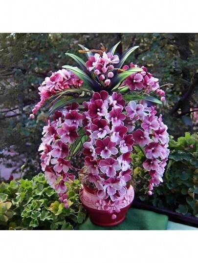 Resistant To Dryness And Able To Survive Reyrs Vitality Seeds Orchid Seeds 50 Special Cold-Resistant, Heat-Resistant, Continuous Open, Drought-Resistant, Full Sunlight-Resistant, Perennial Indoor And Outdoor Home Garden Plants - 50件(H005#2) - 查看 1