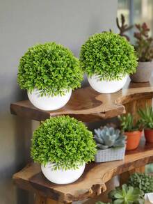 1 قطعة/2 قطعة نباتات بونساي صناعية من الصندل الأبيض والأسود، أوراق إكليل الجبل المقلدة، أصص بلاستيكية، مصنوعة من مواد البولي بروبلين والبولي إيثيلين، ديكورات مكتبية، زهور اصطناعية، نباتات مقلدة، ديكور حفلات الزفاف والتخرج والحدائق والمنزل والغرف المعيشية والنوم والمطبخ - متعدد الألوان - مشاهدة 10