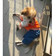 1pc Numeric Print Pet Shirt, Spring/Autumn Lightweight 4-Leg Leash Design For Small Dogs Like Teddy, Suitable For Cats & Dogs - Orange - View 2