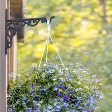 YMAISS 2 Packs Cast Iron Plant Hangers Outdoor HooksHanging Plant Bracket Heavy Duty Garden Planter Hooks Decorations Wall Mount For Flower Basket Lantern Bird Feeder Rustic Black