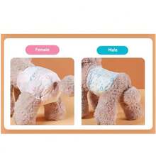 Disposable Leak-Proof Dog Diapers,10pcs/Pack For Female Dogs, 12pcs/Pack For Male Dogs, Upgraded Super Absorbent,Diapers For Dogs Or Cats,Cleaning Supplies For Male And Female Dogs,Disposable (Diapers, Pads, Sanitary Napkins, Pants) - Multicolor - View 2