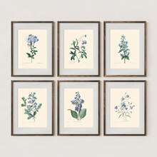 6-Piece Unframed Blue Botanical Flower Canvas Art: Modern & Minimalist Wall Decor For Indoor/Outdoor Spaces, Bedroom, Home Office & Restaurants,2D Flat Print Poster, Frameless Painting