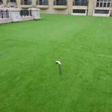 Gramado de plástico artificial não adesivo com 2,5 cm de espessura, usado para decoração de pátios e superfícies de telhados, feito de plástico, adequado para embelezamento de jardins externos; grama sintética para animais de estimação; itens de decoração para interiores e exteriores de casa