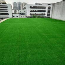 Artificial Synthetic Grass Carpet Carpet Grass Kindergarten Lawn Football Artificial Turf Thickening Engineering Barrier Fake Lawn Artificial Grass Pet Lawn Mat Outdoor Garden Fence Roof Greening School Imitation Lawn Carpet Fake Grass Family Floor Decoration - Green - View 3