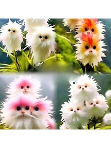 Reyrs Vitality Seeds Rich Fragrance Heat-Resistant Collection Of Flowers, Potted Plants, Green Plants, Cold-Resistant Cats, Color-Absorbing, Flowers, Orchids, Indoor And Outdoor Flowers, Formaldehyde Removal Resistant To Dryness And Able To Survive - 可愛粉紅貓[四季花開]5個球 - 查看 2