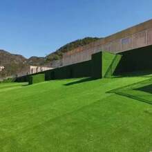 Artificial Synthetic Grass Carpet Carpet Grass Kindergarten Lawn Football Artificial Turf Thickening Engineering Barrier Fake Lawn Artificial Grass Pet Lawn Mat Outdoor Garden Fence Roof Greening School Imitation Lawn Carpet Fake Grass Family Floor Decoration - Green - View 4