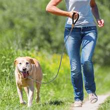 1 件套防滑尼龙编织狗绳，适合小型、中型和大型犬 - 灰色 - 查看 9
