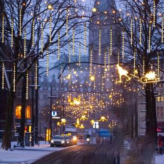 Batteridriven 30 cm 8-rörs LED-meteorregnsregnsgirlanger för utomhusgirlander, trädgårdsljus, bröllop, julbelysning