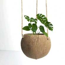 Maceta colgante de cáscara de coco, cáscara de coco natural, pulida a mano, cuerda para colgar, maceta, decoración retro de granja y restaurante, soporte para plantas, maceta para flores, canasta para flores - Café integral - Ver 6