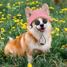 1 Stück Hund Sonnenhut mit Ohrlöchern, Hund Katze Sonnenbrille mit rutschfestem Silikonband Baseball Kappe verstellbar Welpen Sonnenschutzkappe Kopfbedeckung Sonnenhut für Welpen Hunde Katzen Sommer Outdoor