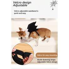 Ailes en feutre pour animaux de compagnie pour Halloween, costumes de chauves-souris créatifs pour chats, petits chiens et chiens. Accessoires et vêtements amusants pour la fête de transformation des animaux de compagnie. Fournitures pour animaux de compagnie - Multicolore - Voir 4