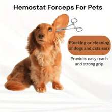 2pcs Professional Stainless Steel Tweezers - Precision Straight/Curved Tip Hemostatic Forceps, Suitable For Fishing, Pet Grooming And Outdoor Use - Metal Pliers, No Electricity Required - Silver - View 10