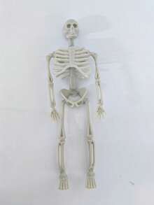 5pcs/10pcs Halloween Hanging Decor Skull Ornaments, Halloween Props Skull Model Figurines For Haunted House, Bar, Bedroom Decoration