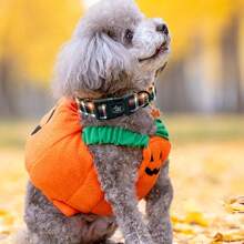 Elegant Little Tail Fall Dog Collar, Plaid Puppy Collars Fall Yellow Male Cute Puppy Adjustable Pet Collar