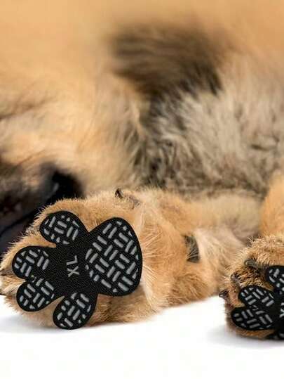 8 Pieces Of Pet Shoes Disposable Invisible Non-Slip Puppy Foot Stickers Suitable For Sending Friends And Family Pet Supplies Dog Non-Slip Pad