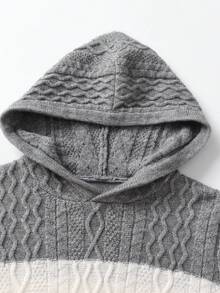 男孩和青少年学院风条纹粗针织连帽套头衫，适合日常穿着、上学、春季、秋季、冬季