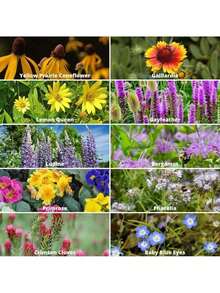 Rare Seeds Perennial Flower Seeds Wildflower Seeds Bulk, 750 Seeds, Save The Bees Wild Flowers Seeds Mix- GMO Varieties Of Wildflower Seeds For Bees-Bee Friendly Wildflower Seeds-Pollinator Wildflower Seeds For Planting - 選項1 - 查看 5