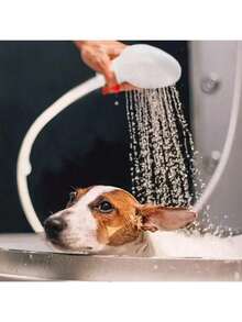 1 Vòi nước mở rộng đa năng kèm đầu vòi hoa sen, Tổng chiều dài 131 cm, Bộ chuyển đổi dễ sử dụng để gội đầu, Vòi xịt tắm và vòi hoa sen, Kết nối dễ dàng và nhanh chóng để tắm cho thú cưng, Trang trí nhà cửa và phòng tắm, Trang trí mùa thu, Trở lại trường học, Vật dụng cần thiết khi đi du lịch, Hoàn hảo cho sinh nhật Kỷ niệm Ngày lễ tình nhân Giáng sinh Halloween Ngày nhà giáo Tốt nghiệp Trở lại trường Lễ tạ ơn Bất ngờ - Nhiều màu - Xem 3