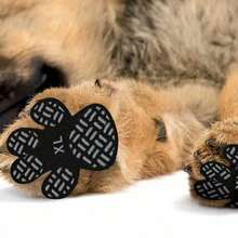 8 Pieces Of Pet Shoes Disposable Invisible Non-Slip Puppy Foot Stickers Suitable For Sending Friends And Family Pet Supplies Dog Non-Slip Pad