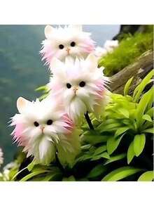 Reyrs Vitality Seeds Rich Fragrance Heat-Resistant Collection Of Flowers, Potted Plants, Green Plants, Cold-Resistant Cats, Color-Absorbing, Flowers, Orchids, Indoor And Outdoor Flowers, Formaldehyde Removal Resistant To Dryness And Able To Survive - 喜慶貓[四季花開]10球 - 查看 2
