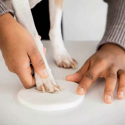 Pet Paw And Handprint Clay Kit - Complete DIY Keepsake Set, Paw/Nose Print Frames, Dog/Cat Frame Gifts, Clean Imprint, No Ink, Pet Memorial Photo Gifts, Loving Pet Memorial Gifts, Suitable For Cute Pet Birthday/Anniversary