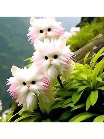 Reyrs Vitality Seeds Rich Fragrance Heat-Resistant Collection Of Flowers, Potted Plants, Green Plants, Cold-Resistant Cats, Color-Absorbing, Flowers, Orchids, Indoor And Outdoor Flowers, Formaldehyde Removal Resistant To Dryness And Able To Survive - 可愛粉貓[四季花開]15球 - 查看 1