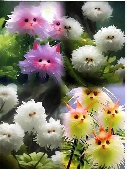 Reyrs Vitality Seeds Rich Fragrance Heat-Resistant Collection Of Flowers, Potted Plants, Green Plants, Cold-Resistant Cats, Color-Absorbing, Flowers, Orchids, Indoor And Outdoor Flowers, Formaldehyde Removal Resistant To Dryness And Able To Survive - 混色[四季花開]15球 - 查看 1